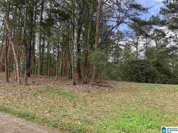 1.2 Acres of Land for Sale in Pinson, Alabama