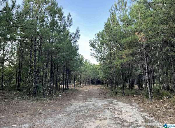 3.8 Acres of Commercial Land for Sale in Clay, Alabama