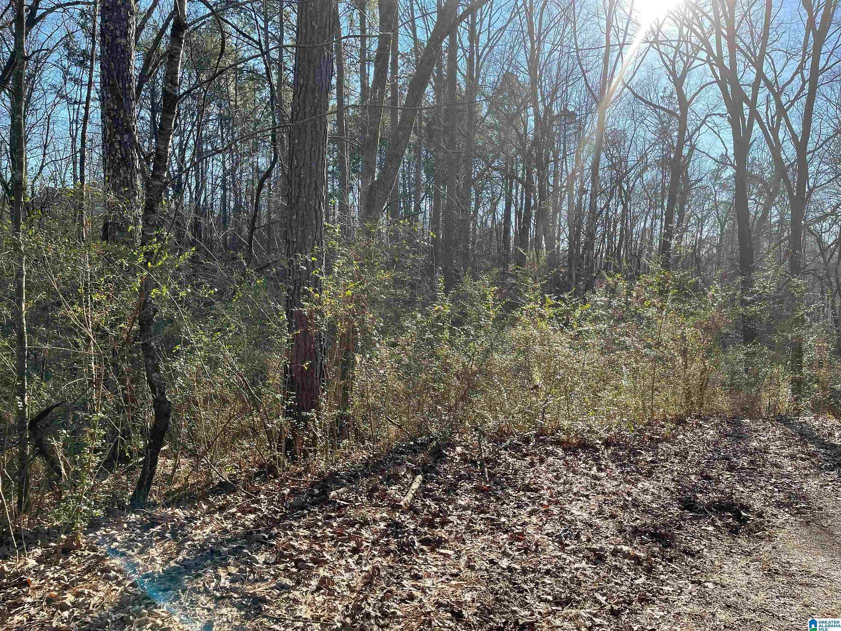 3.1 Acres of Residential Land for Sale in Jacksonville, Alabama