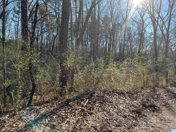 3.1 Acres of Residential Land for Sale in Jacksonville, Alabama