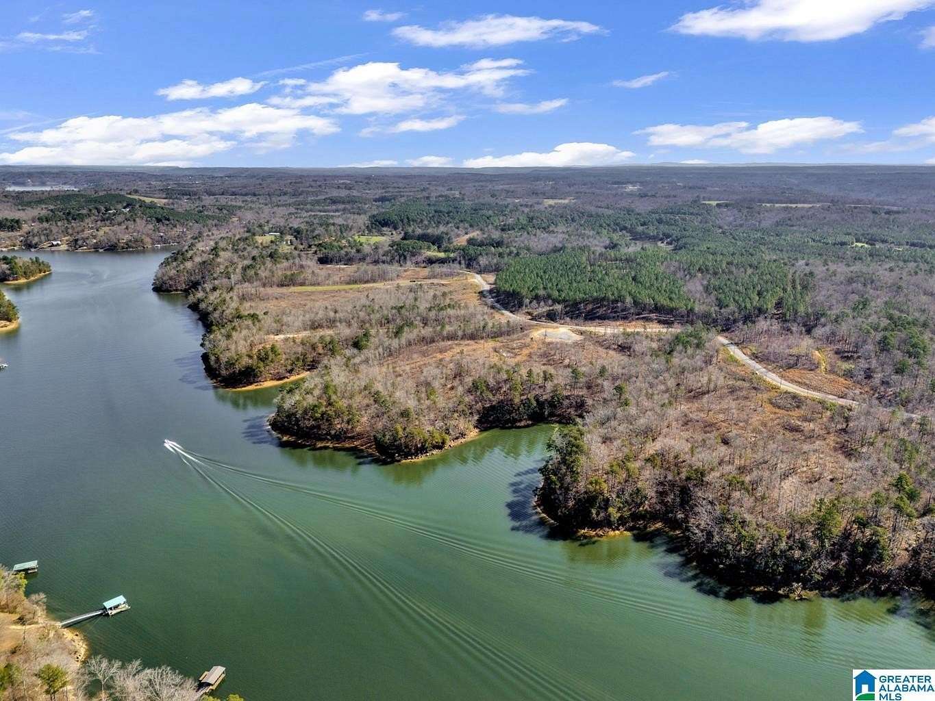 98 Acres of Land for Sale in Bremen, Alabama