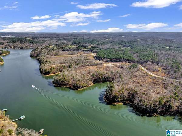 98 Acres of Land for Sale in Bremen, Alabama
