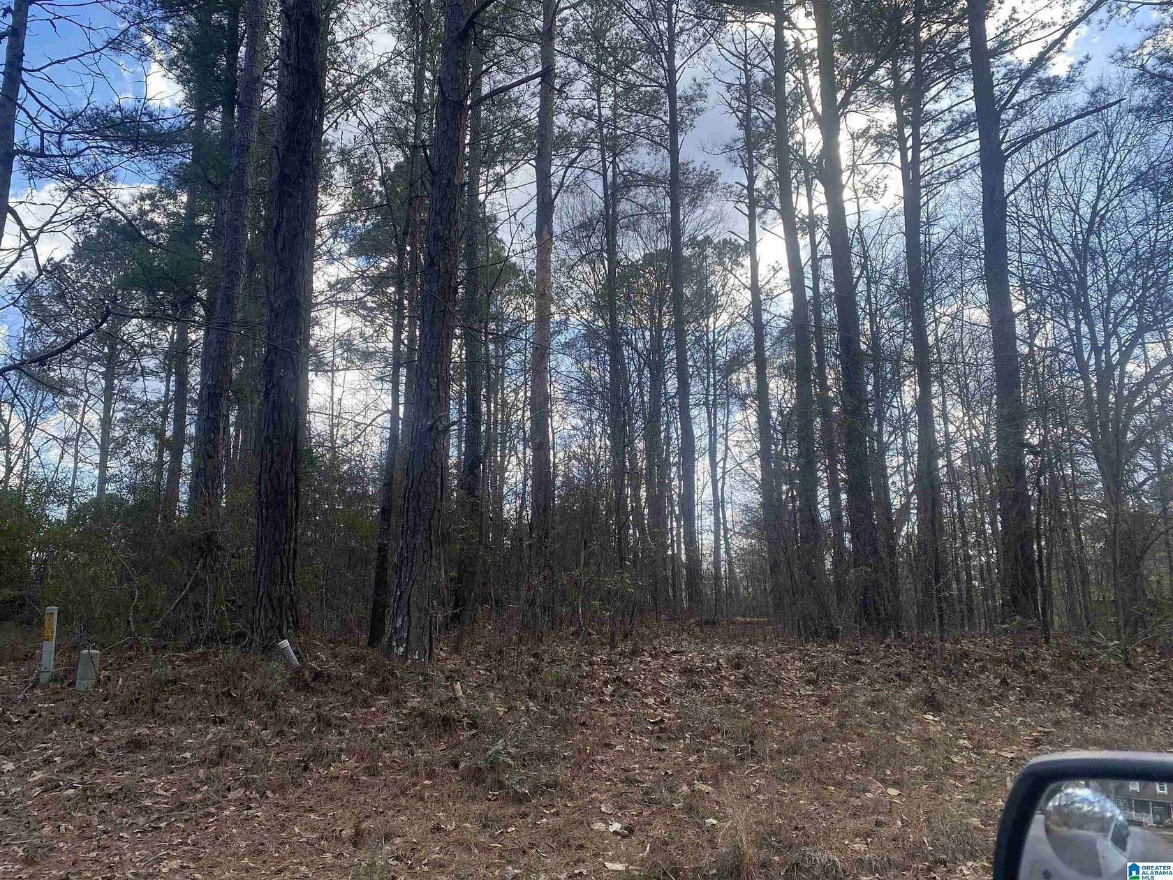 1 Acre of Land for Sale in Roanoke, Alabama