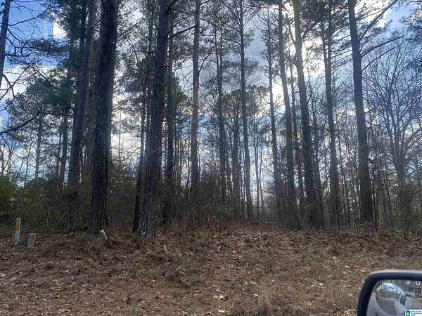 1 Acre of Land for Sale in Roanoke, Alabama