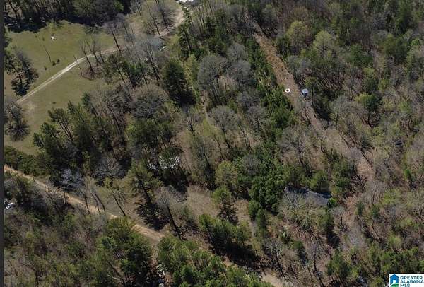 7.1 Acres of Residential Land for Sale in Childersburg, Alabama