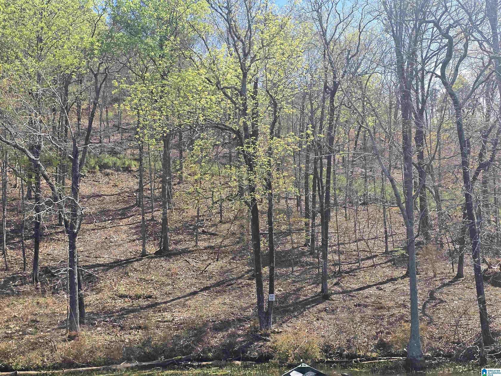 0.85 Acres of Residential Land for Sale in Rockford, Alabama