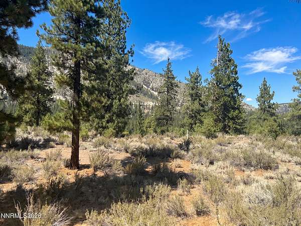 1.29 Acres of Residential Land for Sale in Carson City, Nevada