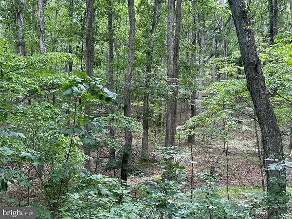 8.34 Acres of Residential Land for Sale in Green Spring, West Virginia