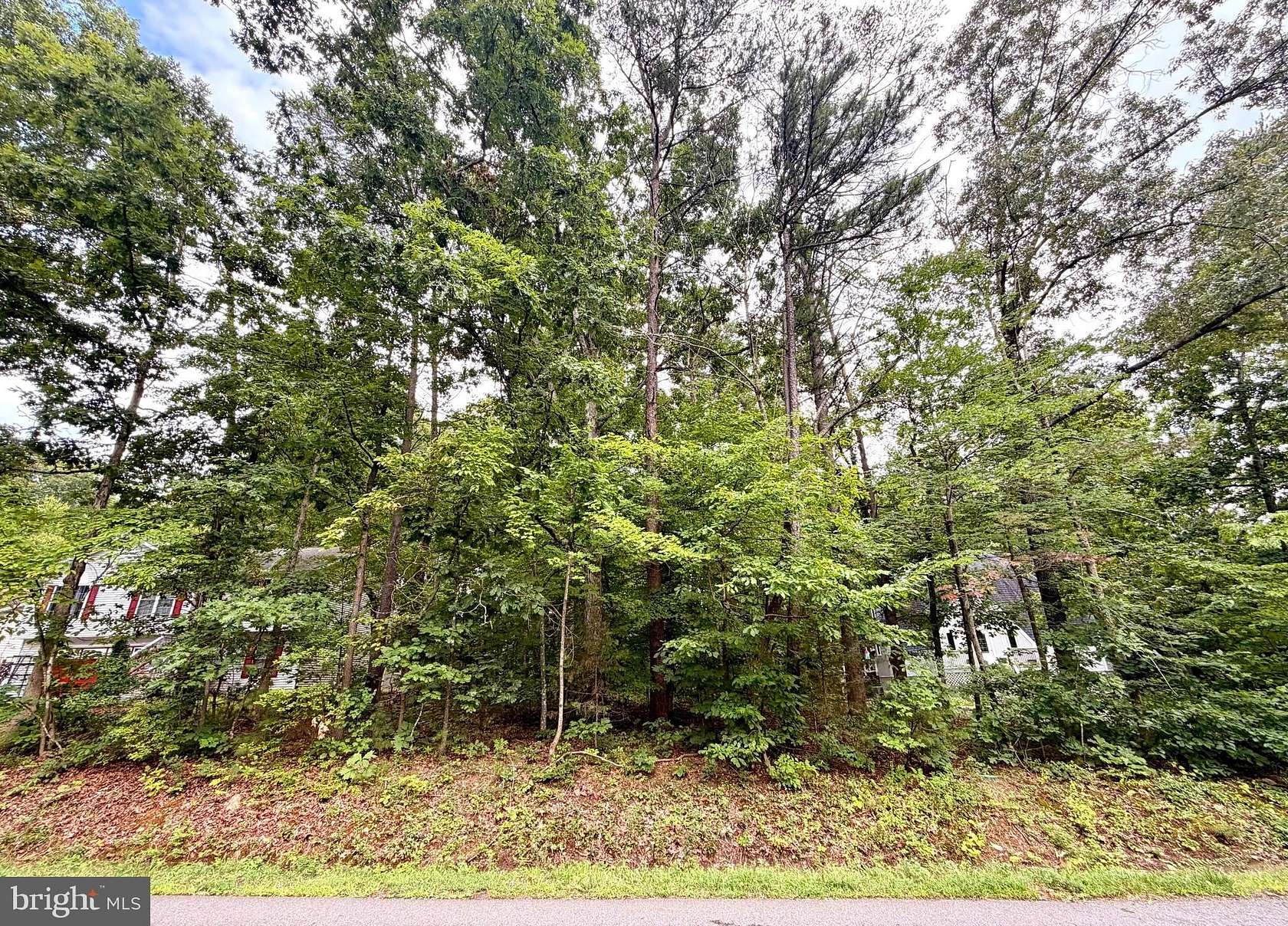 0.33 Acres of Residential Land for Sale in Locust Grove, Virginia