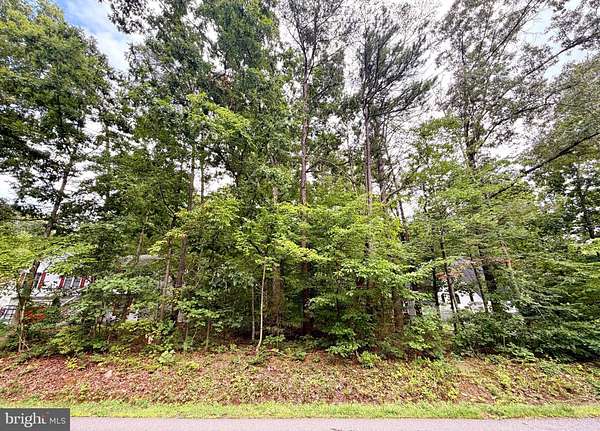 0.33 Acres of Residential Land for Sale in Locust Grove, Virginia