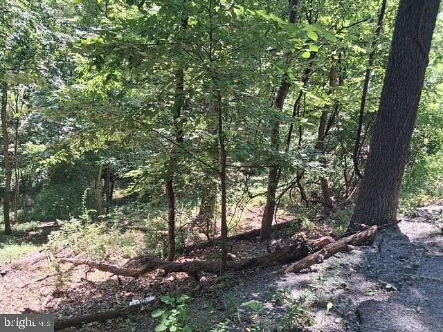1 Acre of Residential Land for Sale in Linden, Virginia