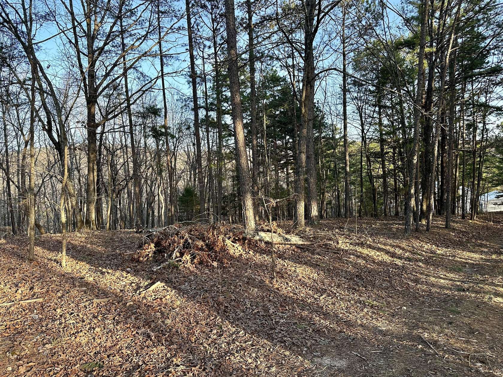 3 Acres of Residential Land for Sale in Van Buren, Missouri
