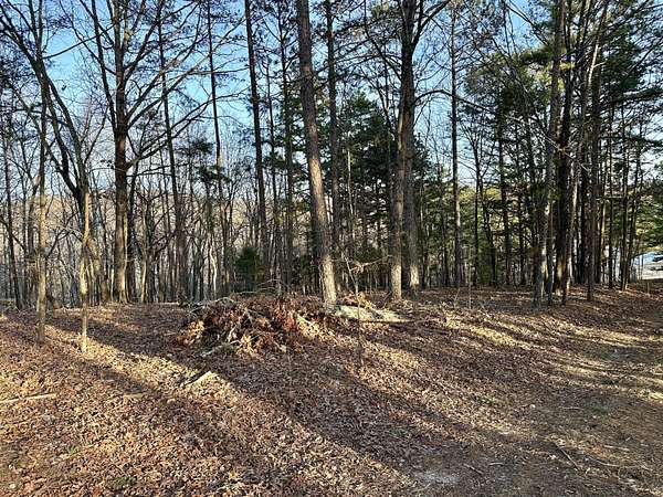3 Acres of Residential Land for Sale in Van Buren, Missouri