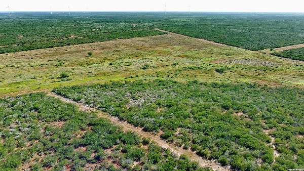 47.8 Acres of Recreational Land for Sale in Bruni, Texas
