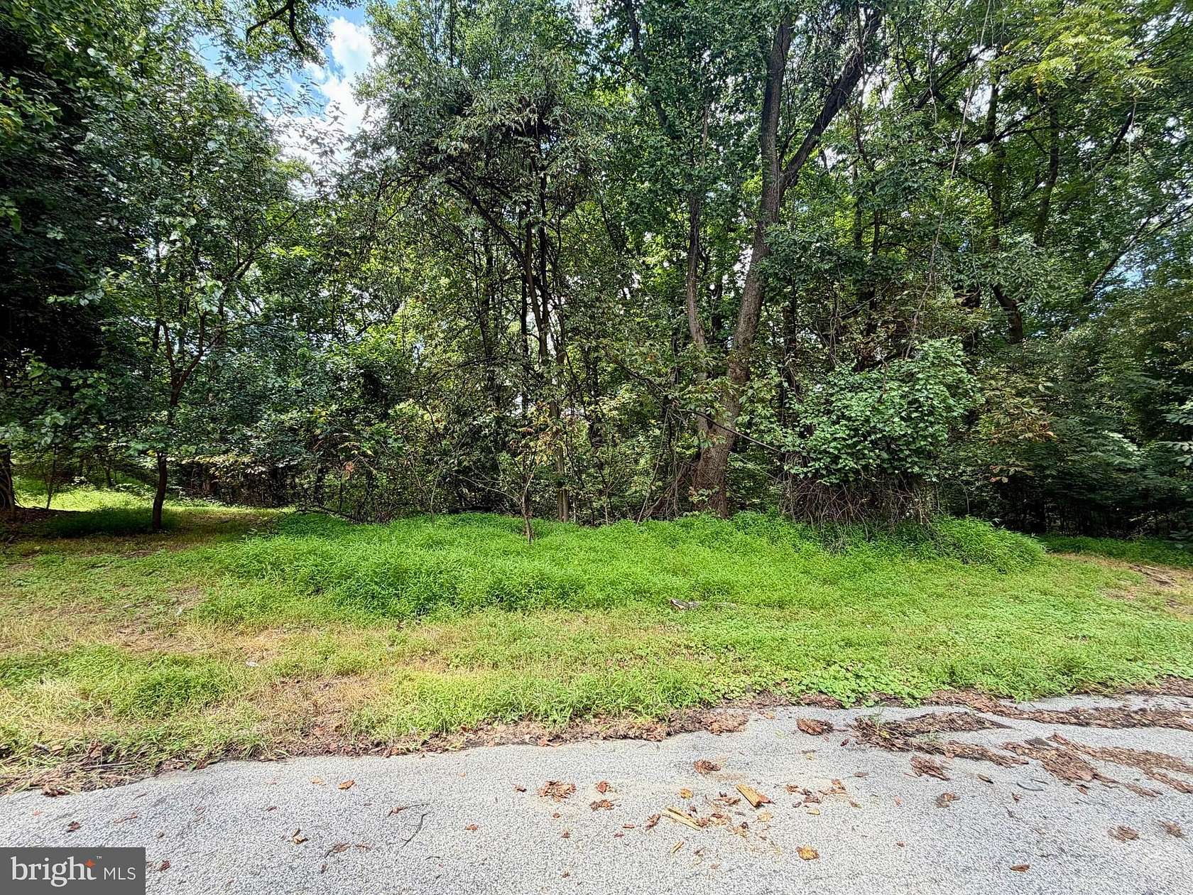 1.52 Acres of Residential Land for Auction in Baltimore, Maryland