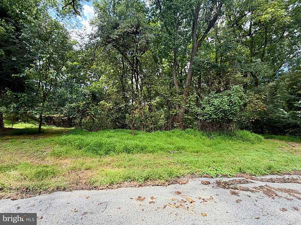 1.52 Acres of Residential Land for Auction in Baltimore, Maryland