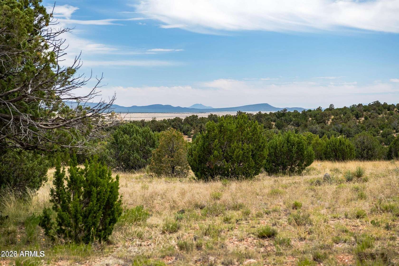 10 Acres of Residential Land for Sale in Seligman, Arizona