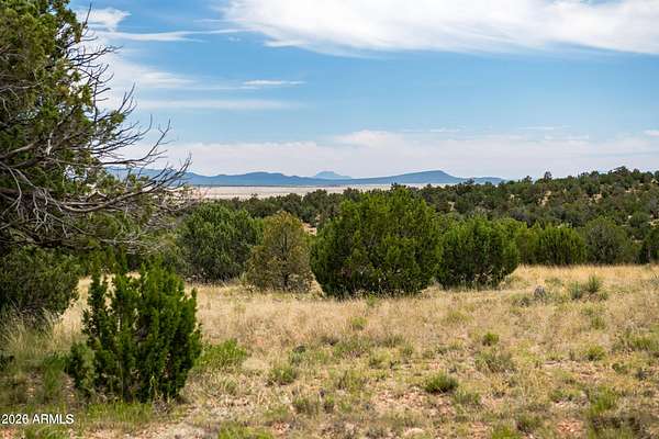 10 Acres of Residential Land for Sale in Seligman, Arizona