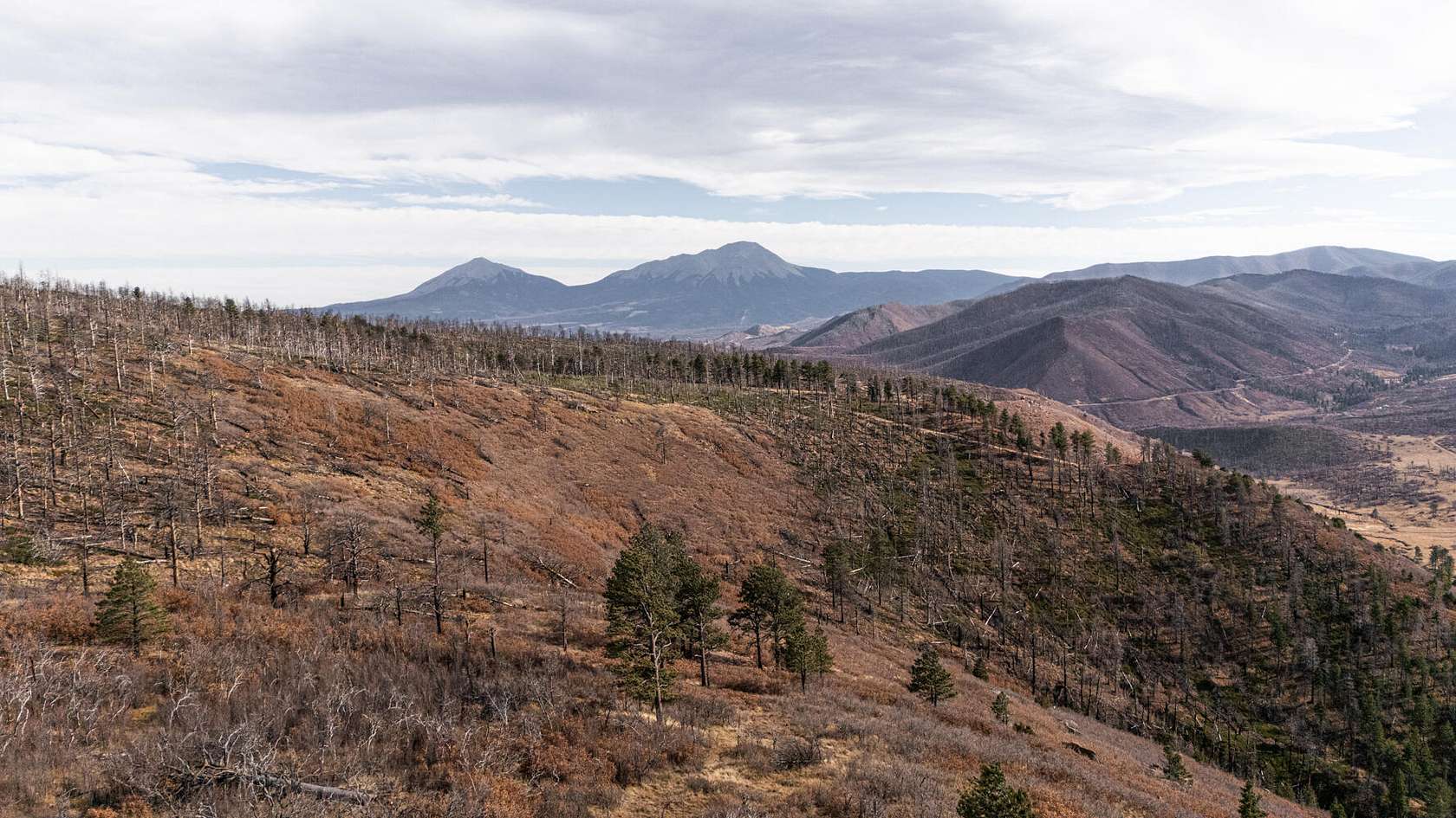 126 Acres of Land for Sale in La Veta, Colorado