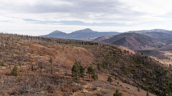 126 Acres of Land for Sale in La Veta, Colorado