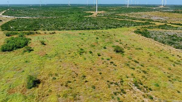 56 Acres of Agricultural Land for Sale in Bruni, Texas