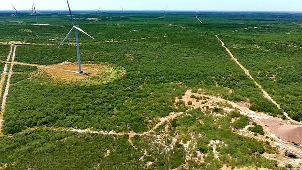 117 Acres of Land for Sale in Bruni, Texas