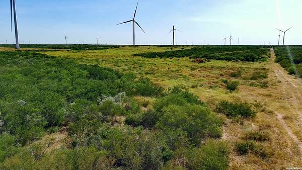 80 Acres of Land for Sale in Bruni, Texas