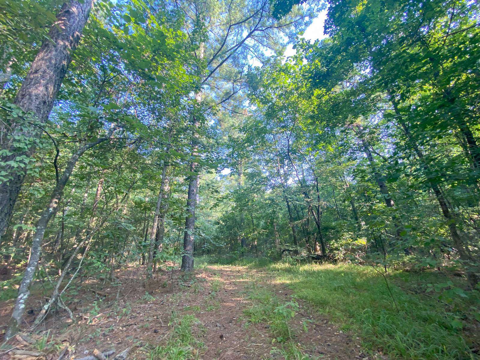 1.3 Acres of Residential Land for Sale in Broken Bow, Oklahoma