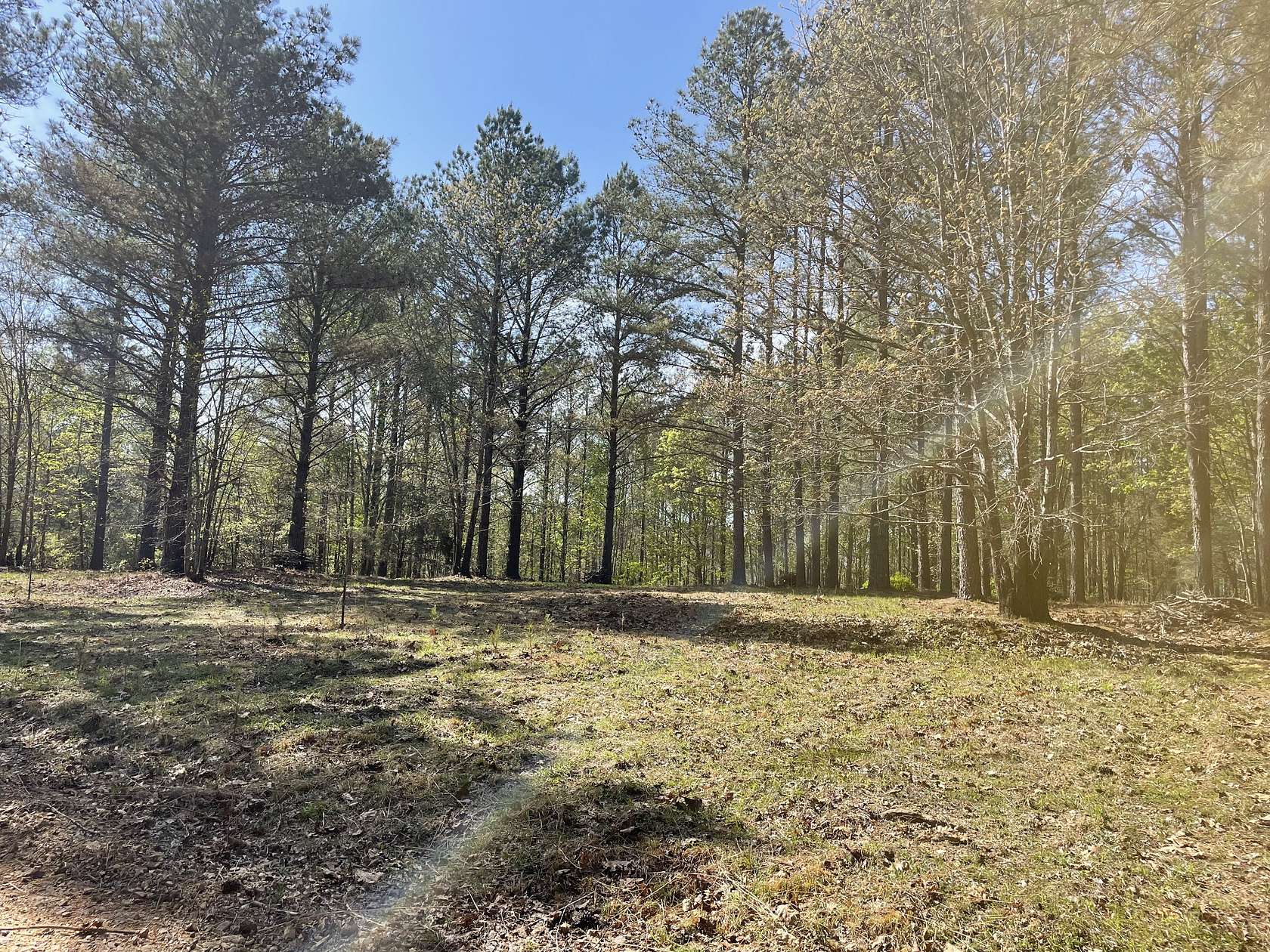 5 Acres of Residential Land for Sale in Centerville, Tennessee