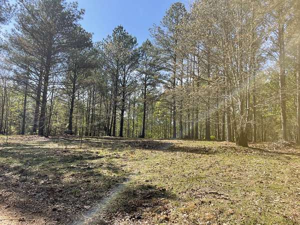 5 Acres of Residential Land for Sale in Centerville, Tennessee