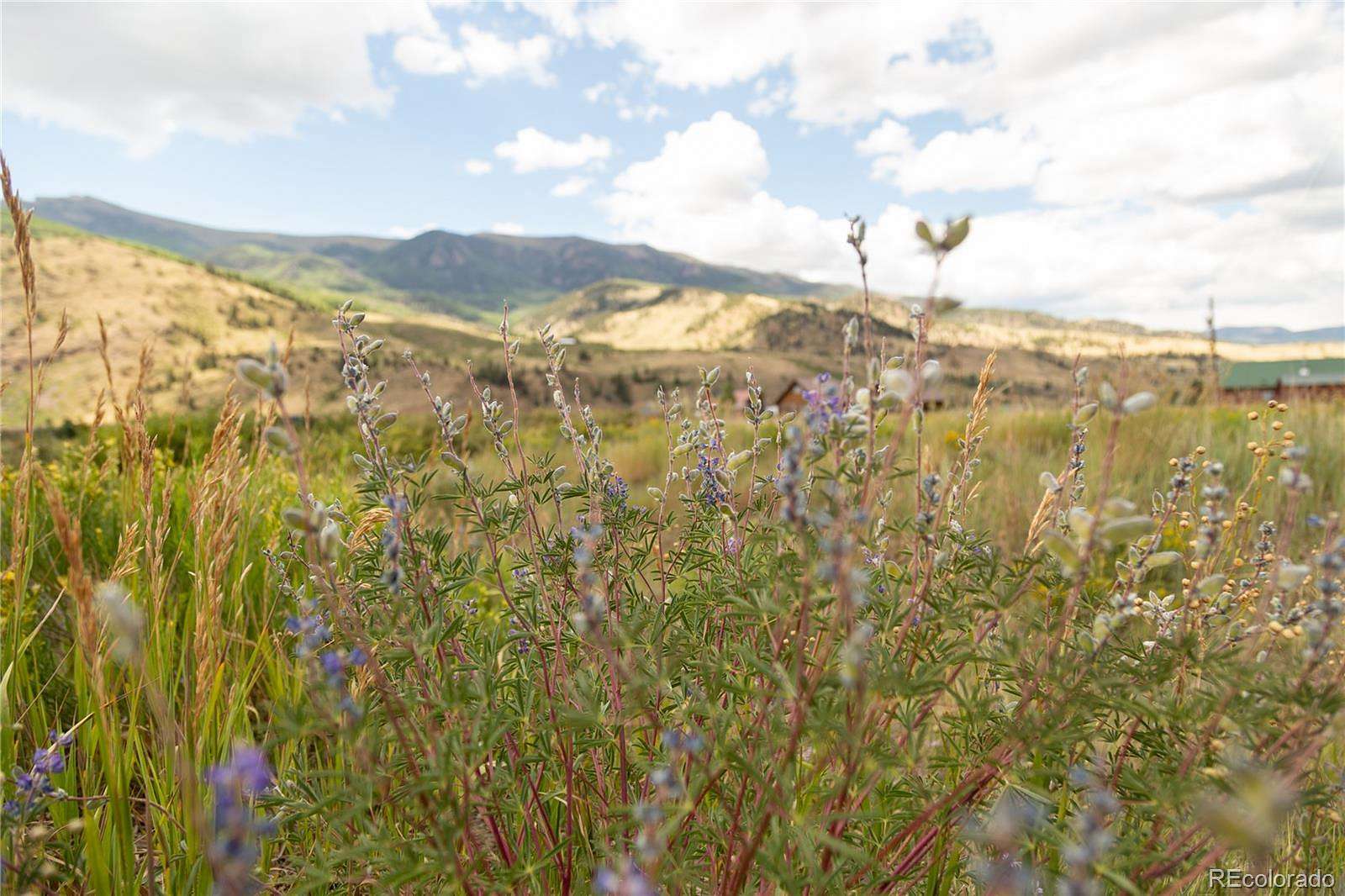 1 Acre of Residential Land for Sale in Creede, Colorado