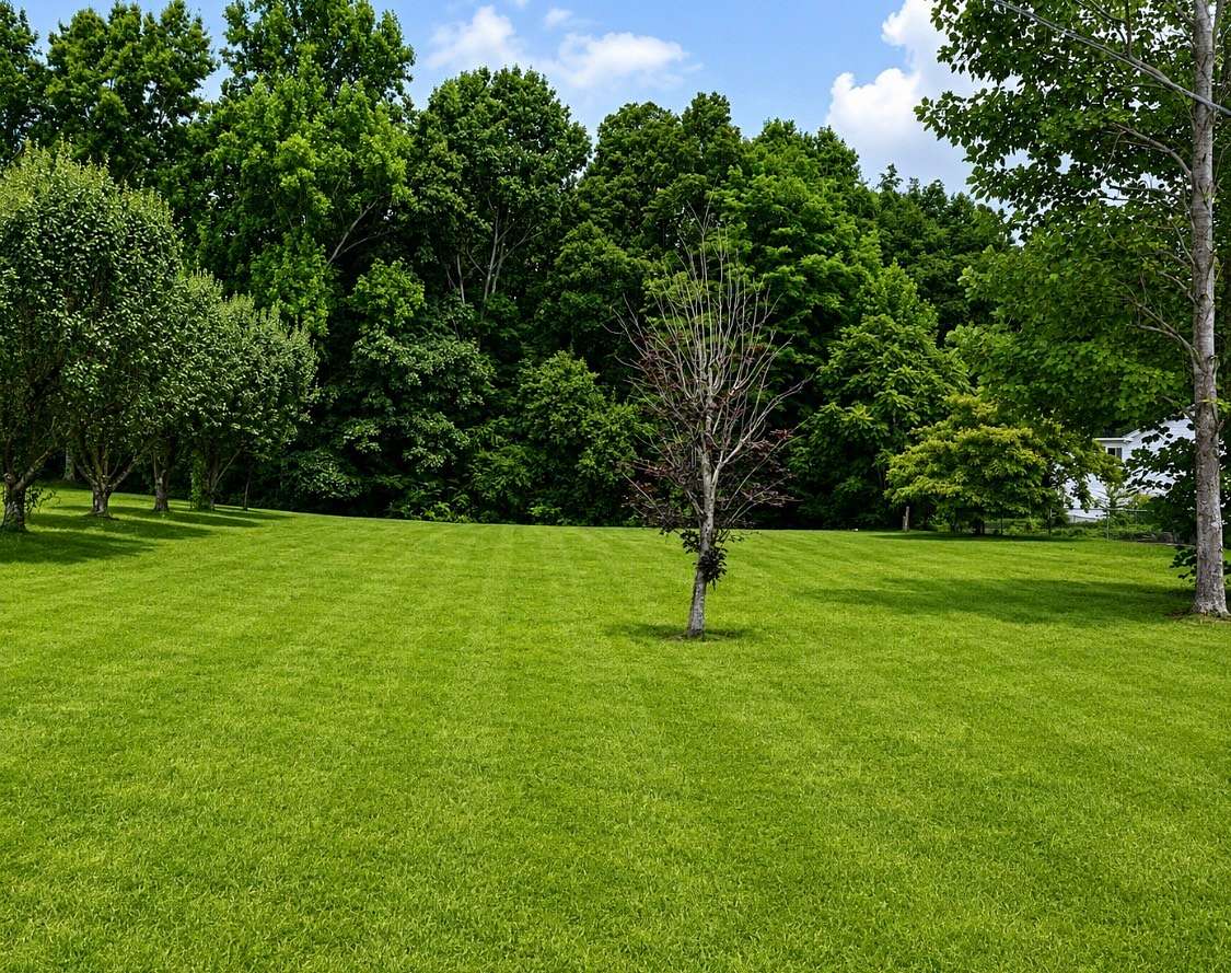 0.93 Acres of Residential Land for Sale in Smithville, Tennessee