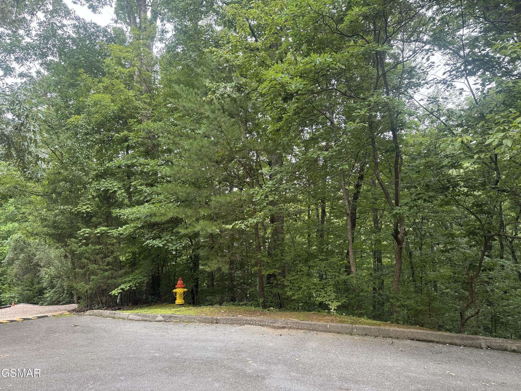 0.33 Acres of Mixed-Use Land for Sale in Sevierville, Tennessee