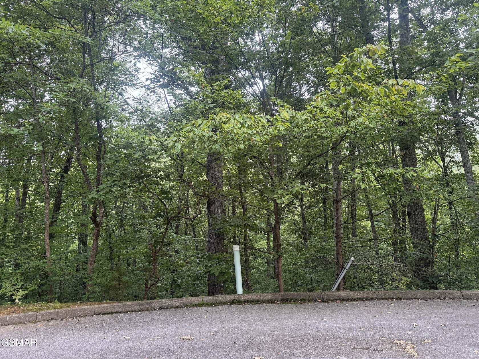 0.81 Acres of Mixed-Use Land for Sale in Sevierville, Tennessee