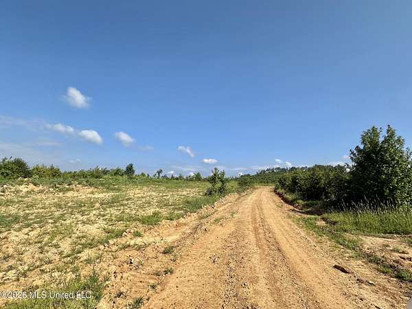 34 Acres of Recreational & Residential Land for Sale in Mantee, Mississippi