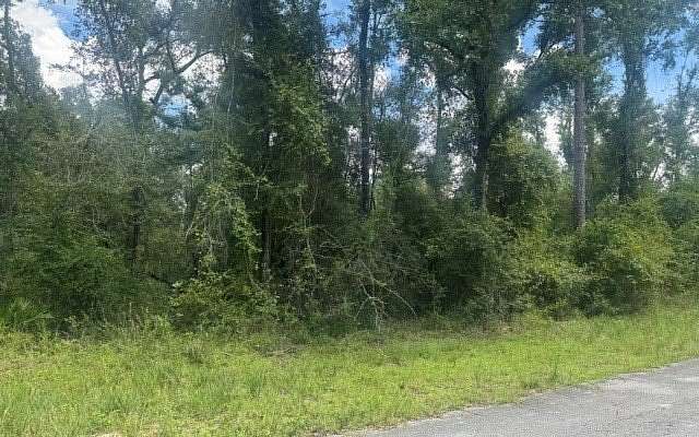 0.28 Acres of Land for Sale in Dowling Park, Florida