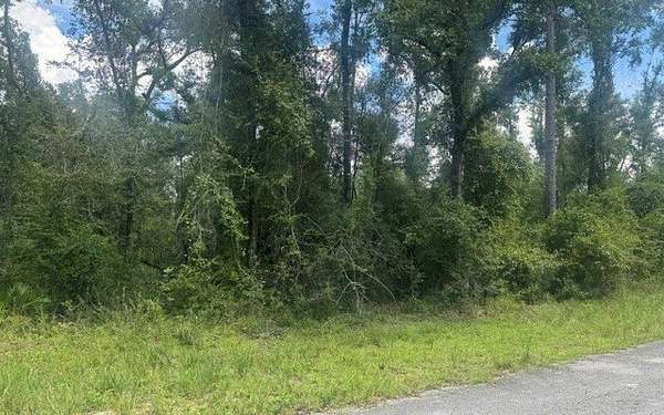 0.28 Acres of Land for Sale in Dowling Park, Florida