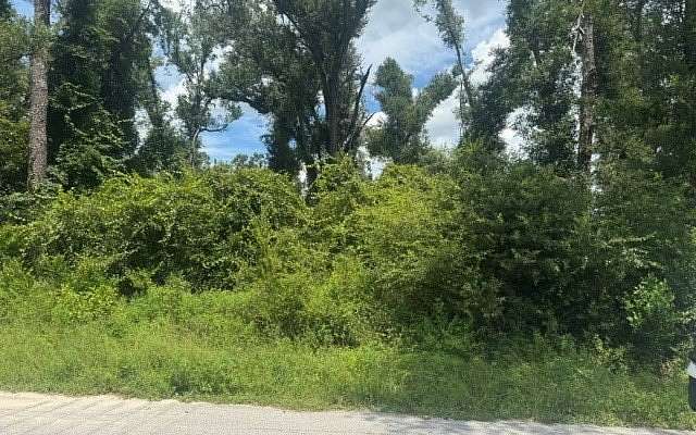 0.28 Acres of Land for Sale in Dowling Park, Florida