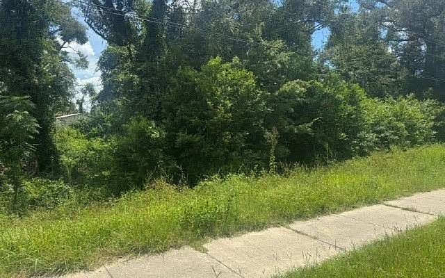0.55 Acres of Residential Land for Sale in Dowling Park, Florida