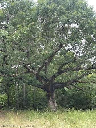 270 Acres of Recreational Land for Sale in Paris, Arkansas