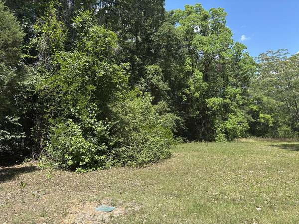1 Acre of Residential Land for Sale in North Charleston, South Carolina
