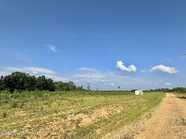 21 Acres of Recreational & Residential Land for Sale in Mantee, Mississippi