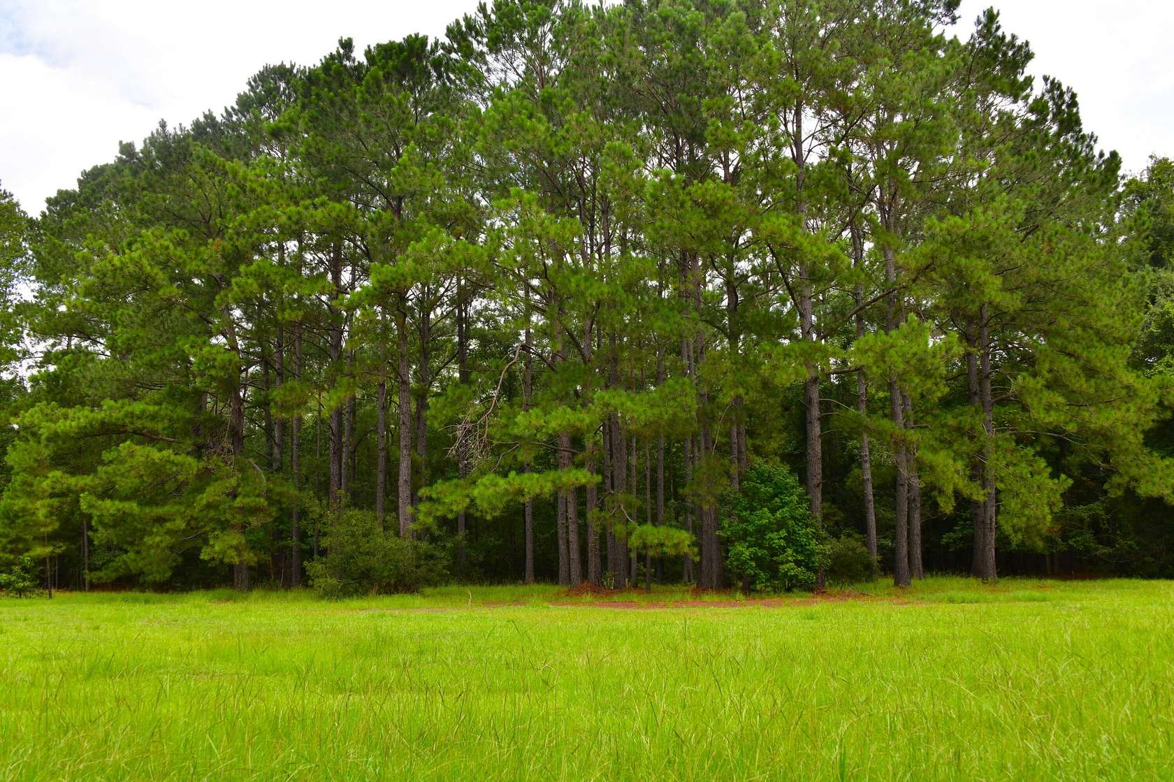 1.79 Acres of Land for Sale in St. Stephen, South Carolina