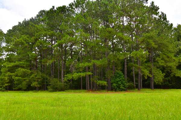 1.79 Acres of Land for Sale in St. Stephen, South Carolina