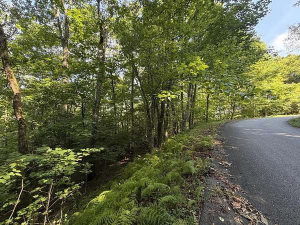 1.72 Acres of Residential Land for Sale in Hiawassee, Georgia