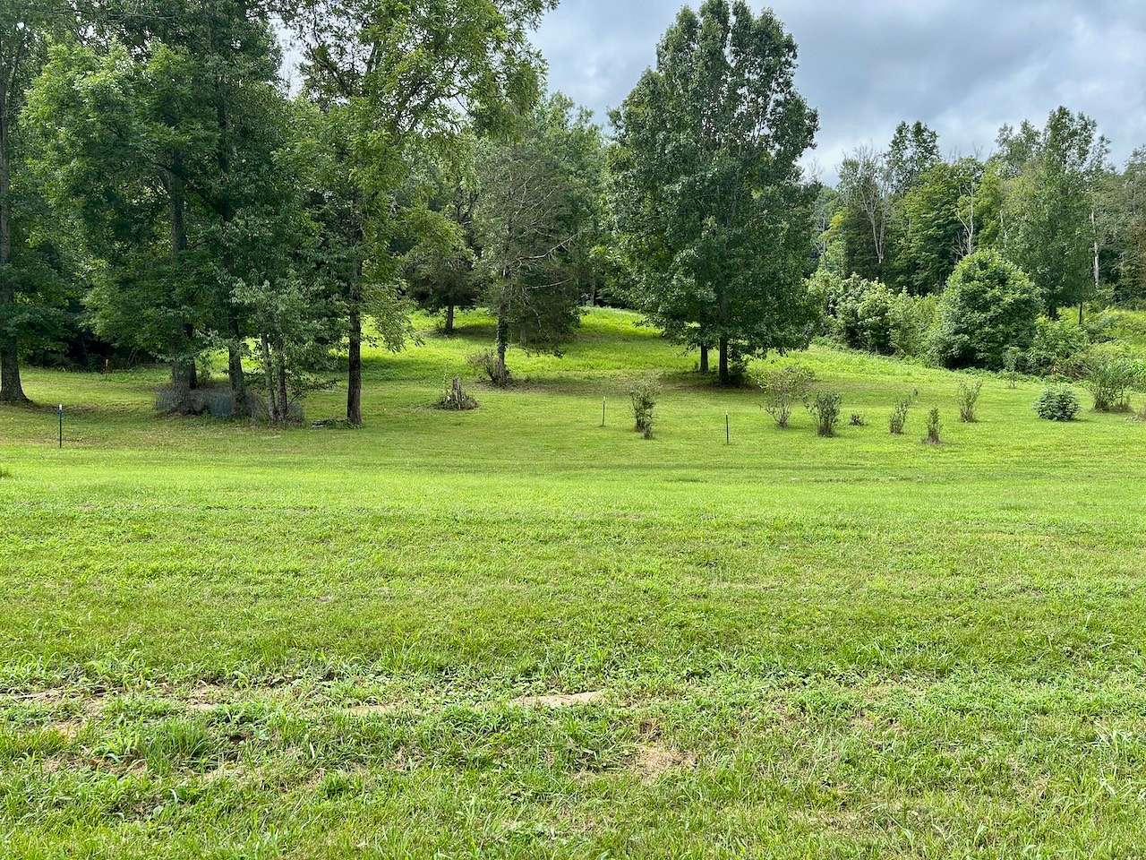 2 Acres of Residential Land for Sale in Dixon Springs, Tennessee
