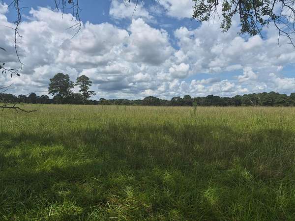 14.8 Acres of Land for Sale in Cullman, Alabama