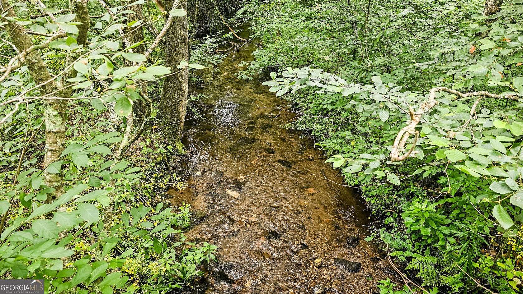 1.65 Acres of Land for Sale in Clayton, Georgia