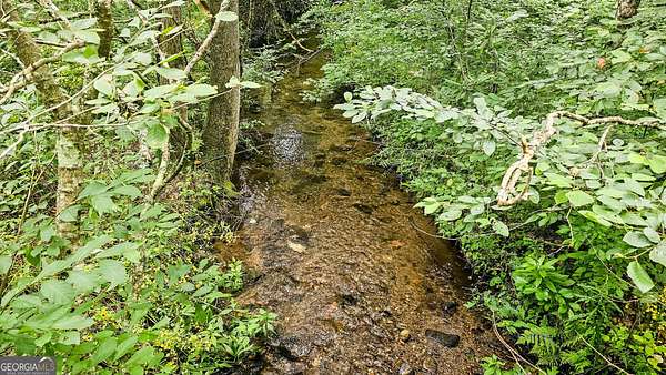 1.65 Acres of Land for Sale in Clayton, Georgia