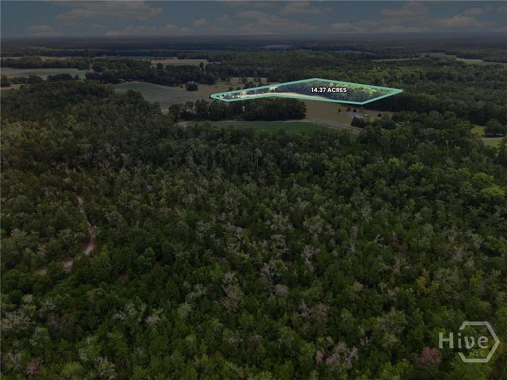 14 Acres of Land for Sale in Springfield, Georgia